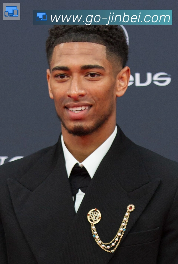 维尼修斯